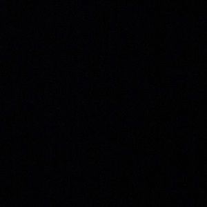 Meet your Posher, Shandricka